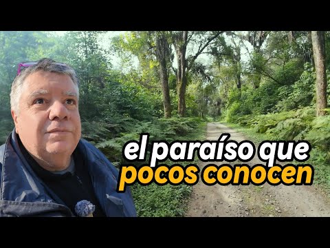 Descubriendo RUTAS OCULTAS de la SELVA tucumana