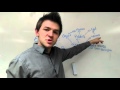 Ecosystem Dynamics and Energy Flow