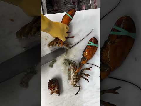 #pescado el corte de langosta