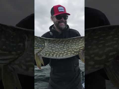 New video today! #efl #fishing #pikefishing