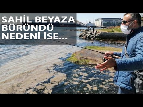 Tuzla Sahilini Deniz Salyası Kapladı