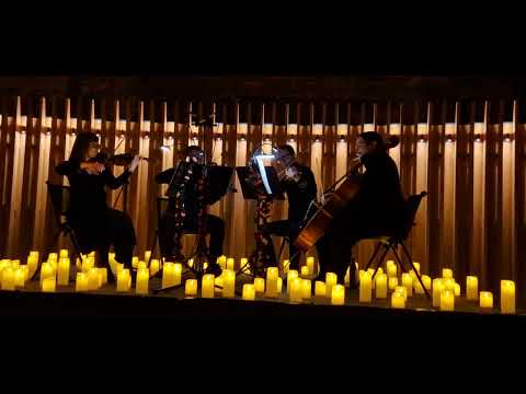 Crazy Little Thing Called Love