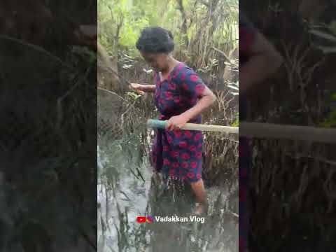 ദേ പിന്നെയും ഒരു ഞണ്ട് 🦀