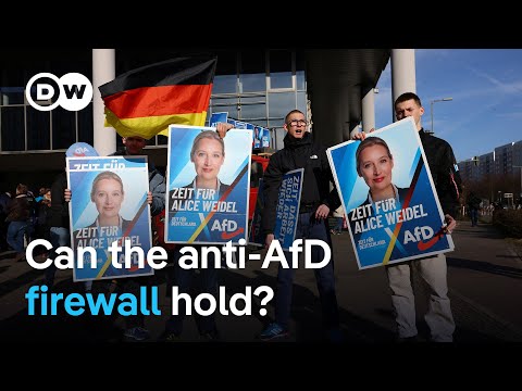 What's behind the rise of far-right parties like the AfD | DW News