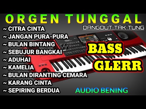 ORGEN TUNGGAL TAK TUNG LAGU LAWAS COVER PUTRI NURHAYATI