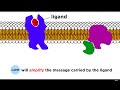 Cellular Signaling Mechanisms