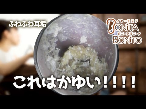 #耳掃除 これはかゆい!!
