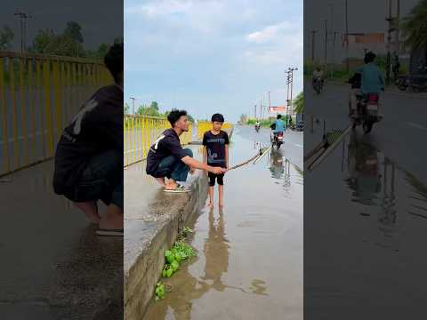 Monish Pagel Hi Hai #shortsfeed #funny #comedy #shortvideos #cutebaby #viralvideo