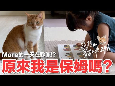 【跟拍貓咪24h-More篇】原來我是保姆嗎？More的一天在幹嘛！？