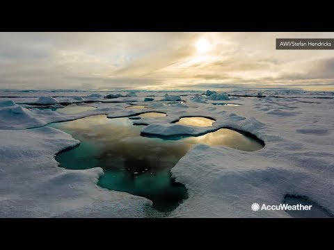 A recent study found higher amounts of microplastic in Arctic sea ice than ever before