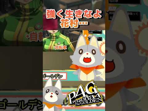 thumbnail_VayY6SxjJwo