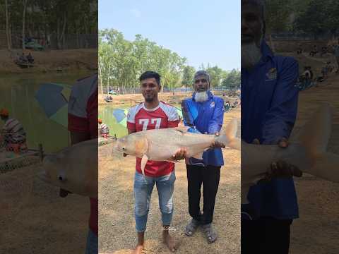 ১৪ কেজি + ব্রিগেট মাছ হিট 🔥 #shorts #viral