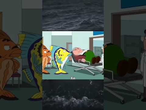#memes #funny Cứu vật vật trả ơn