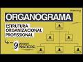 Understanding Organizational Charts