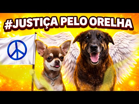 O CASO DO CACHORRO ORELHA : Precisamos Falar Sobre Isso