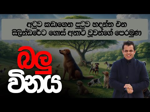 මේකත් ප්‍රශ්නයක් තමා