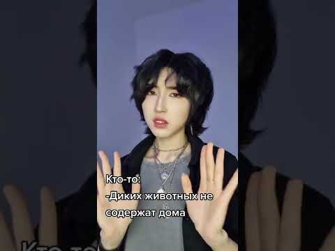 Дикие животные дома?! #рекомендации #fyp #animals