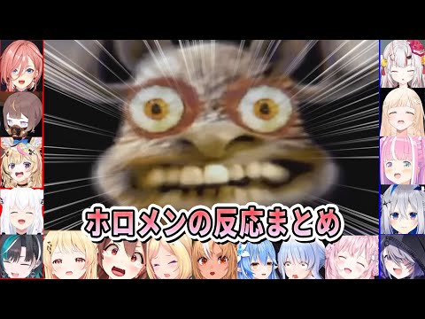 TVドッキリを仕掛けられガチの悲鳴を響かせるホロメンとその反応を見て愉悦するホロメンまとめ【ホロライブ切り抜き/R.E.P.O/因果応報】