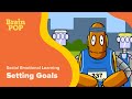 Goal Setting and Achievement Strategies