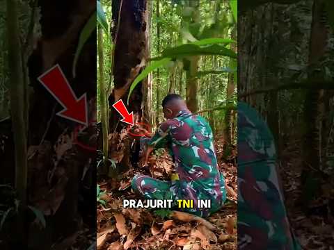 Prajurit TNI Mengeluarkan tenaga dalam ‼️#shorts #short #trending #new