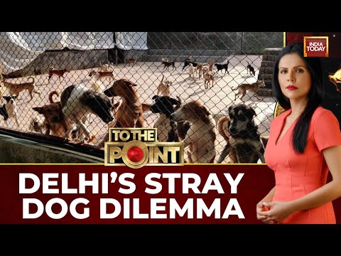 Stray Dog Order Sparks Delhi Protests, Political Divide & Implementation Woes | India Today