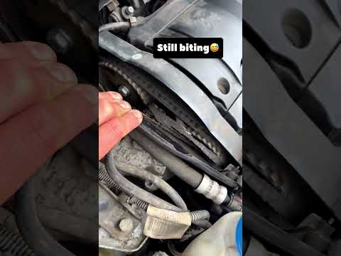 Little TU timing belt still hanging together by a few threads