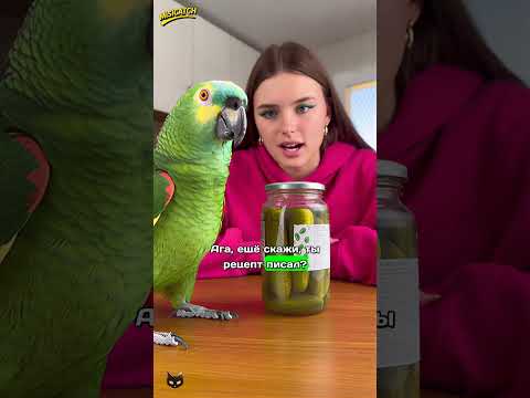 АЛЁ, ГОША СТАЛ ГЛАВНЫМ ПО СОЛЁНЫМ ОГУРЦАМ! 😱🥒 ТРЕБУЕТ ЗАРПЛАТУ СЕМЕЧКАМИ!