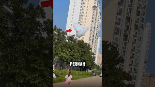 Kenapa awan ini bisa turun dari langit😨