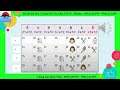 Daily Activities and Plans
