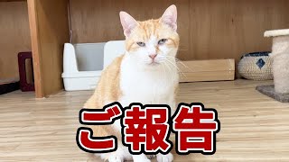 ご報告