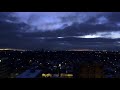 Bats: Communication, Species, and Ecology