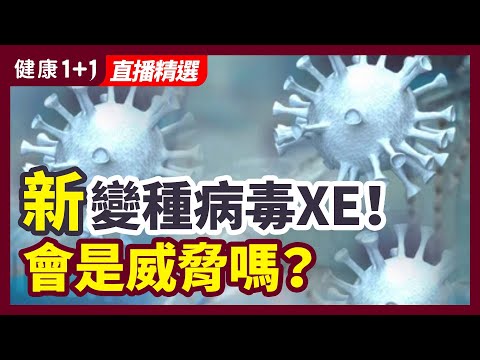 XE XD XF變種是什麼？新變種病毒XE，會是威脅嗎？| 健康1+1 · 直播