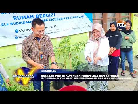 Nasabah PNM di Kuningan Panen Lele dan Sayuran