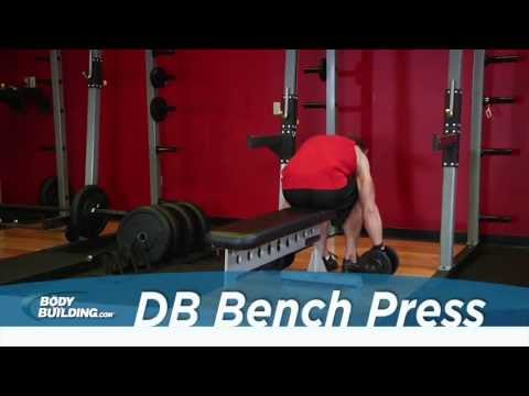 Bench Press Ultimate Guide: Muscles Worked, How-To, Benefits, and  Alternatives – Fitness Volt