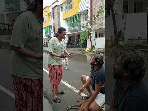 இப்படிபட்டவர்களை என்ன  பண்ணலாம்#minivlog # 25  /dog 🐶 injury/.  / dog lover/ full video discription