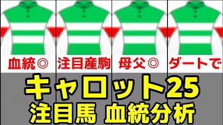 【キャロットクラブ】2025年度注目募集馬4頭の血統分析【マルシュロレーヌ24/キラーグレイシス24】