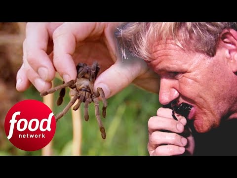 🔴 Gordon Ramsay Tries To Eat A Fried Spider In Cambodia | Gordon's Great Escape