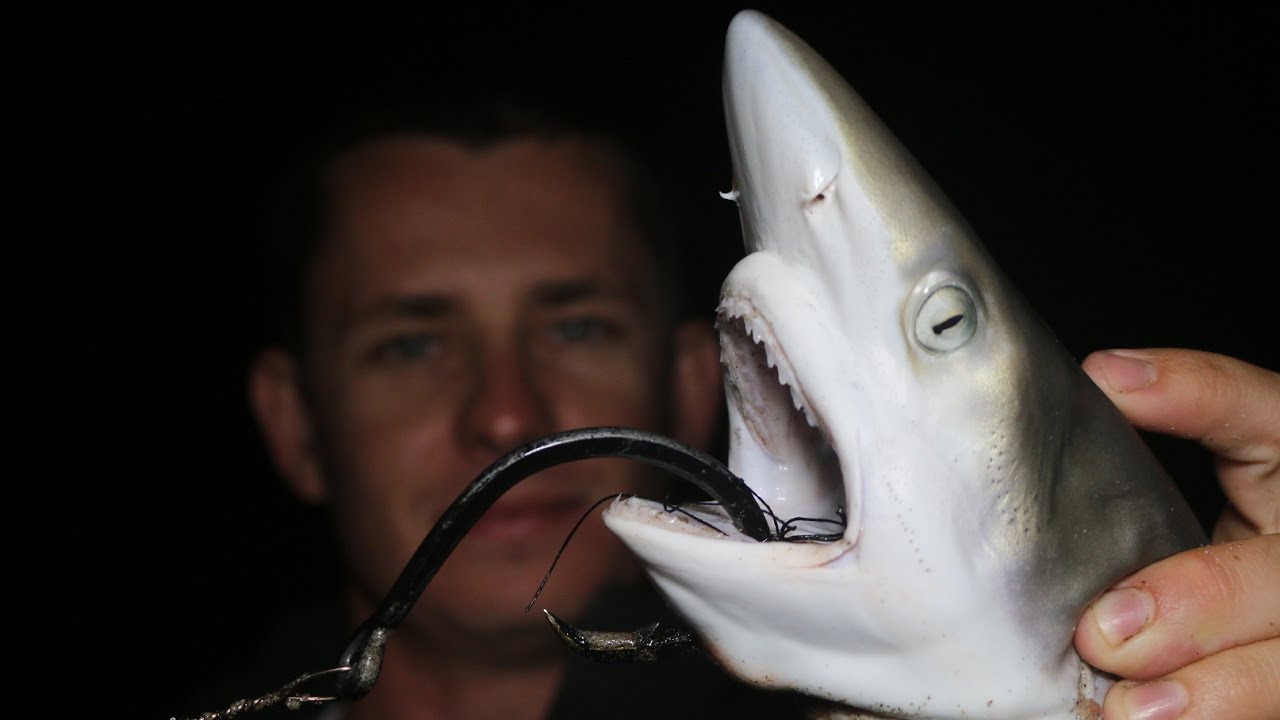 Bit Off More than He Could Chew. (Shark Fishing Fail)