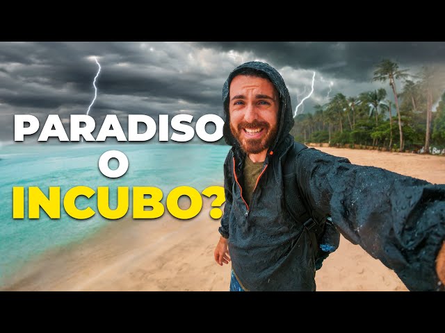 In questo episodio della Missione Videomaker sono arrivato nelle Filippine.
Ho cercato di catturare immagini incredibili, anche sott'acqua… ma non tutto è andato liscio.
Tra pioggia tropicale, test di accessori e imprevisti, ecco com’è andata davvero.L'avventura precedente in Cina: https://youtu.be/hX2PEbND-tcQuello che ho usato in questo viaggio:
Samsung Galaxy S24 Ultra: https://amzn.to/4m1nL8W
Kit Freewell per S24 Ultra: https://freewellgear.com/it/products/samsung-galaxy-ultra-pro-filmmaker-starter?variant=50325107573011&sca_ref=8180652.aiJaWFp5PN6Jfq
Sony A7 IV: https://amzn.to/4lUOWlT
Samyang 35-150mm: https://amzn.to/44TfSMH
Filtro VND/CPL Freewell: https://www.amazon.it/dp/B0CH9VFQG2?tag=as025-21
DJI Mic 2: https://amzn.to/3GCDfjI
Insta360 Mic Air: https://store.insta360.com/product/mic-air?utm_term=INRAC3B
Insta360 X5: https://www.insta360.com/sal/x5?utm_term=INRAC3B
Insta360 X4: https://www.insta360.com/sal/x4?utm_term=INRAC3B
Insta360 Ace Pro 2: https://www.insta360.com/sal/ace-pro-2?utm_term=INRAC3B📌 Vuoi restare aggiornato su recensioni, tutorial e consigli per creare video straordinari?
👉 Iscriviti al canale e unisciti alla nostra community di appassionati di videomaking! Non perderti le ultime novità su action cam, smartphone e attrezzature fotografiche: https://bit.ly/ASVideoSub📖Capitoli:
0:00 Intro
0:10 Coron
3:20 El Nido
4:10 Insta360 Mic Air
5:30 Drone Cinese in azione
6:54 El Nido pt. 2-------------------
🎧 Musica:
Gli effetti sonori e le canzoni che utilizzo le puoi trovare su Artlist, per te 2 mesi gratis: https://bit.ly/ArtlistASVideo💻 Effetti Video:
Gli effetti che utilizzo li puoi trovare su Motion Array: https://bit.ly/MotionArrayASV✉️ Contatti & Social
Iscriviti al Canale: https://bit.ly/ASVideoSub
Seguimi su Instagram: https://www.instagram.com/andreasardovideo
Sito Web: https://www.asvideofficial.comHai dubbi o domande? Lascia un commento sotto i video, risponderò appena possibile!
In alternativa, se hai bisogno di un supporto personalizzato, offro consulenze private: https://www.asvideofficial.com/lezioni-private-------------------
🎥📸 La Mia Attrezzatura 💾🔋:🎥📸Videocamere e Obiettivi: https://amzn.to/3SgXs1V💾🔋Accessori: https://amzn.to/3tSsgg6
-------------------
Andrea Sardo - ASVideo
-------------------
In qualità di Affiliato Amazon io ricevo un guadagno dagli acquisti idonei.
Sono orgoglioso di collaborare con Insta360 come loro Ambassador.
Questo canale partecipa a programmi di affiliazione e potrei guadagnare anche da altri servizi di affiliazione.