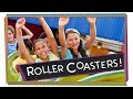 Understanding Roller Coasters