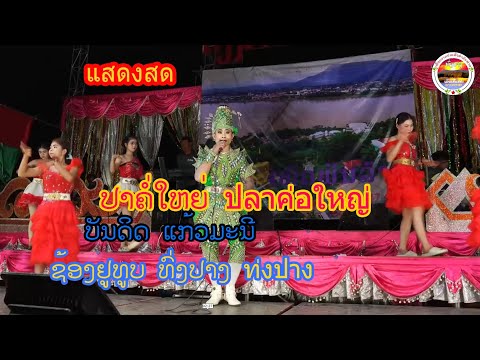 ປາຄໍ່ໃຫຍ່ ปลาค່อใหญ่ ທົ່ງປາງເອັນເທີເທນ