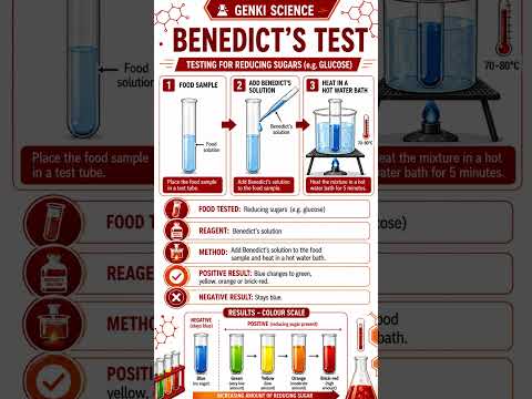 GCSE Biology Food Tests Revision