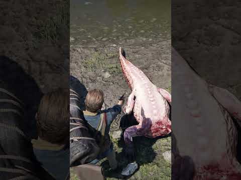 S227 Simulate Survival skills #Shorts