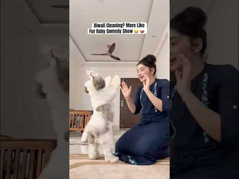 Jab Ghar Me Fur Babies Ho… Safai Impossible! 😆🐶#diwali #pets #ytshorts #funny #dailyvlog
