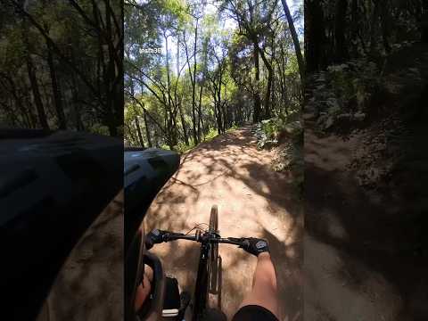 Specialized Kenevo SL 2 Expert