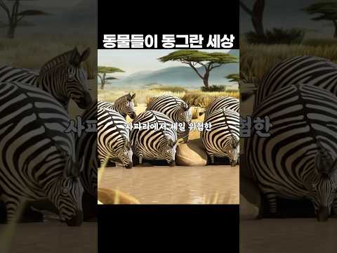 동물들이 동그란 세상