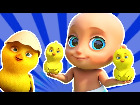 OS PINTINHOS DIZEM - Músicas Infantis Divertidas - LooLoo Kids Português