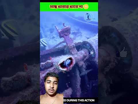 Fish won't eat😳.#shortsvideo