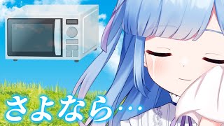 【雑談配信】電子レンジが壊れ、そして買い替えた