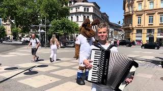 Shock! The moose is in town!!! Elch ist in der Stadt! Лось в городе!)))